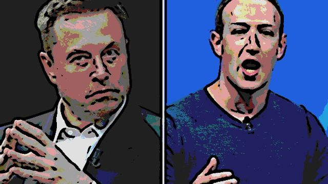 Who will win the cage fight between Elon Musk and Mark Zuckerberg?