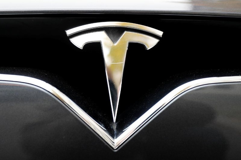 What was the reaction to Tesla's most recent earnings call?